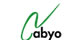 ABYO, S.A.