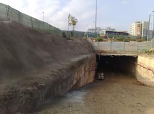 pista de skate