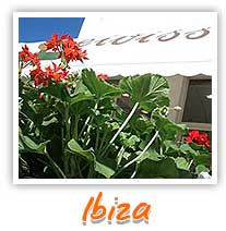 ibiza